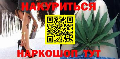 сатива Краснодар