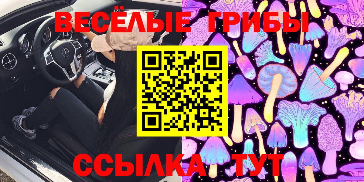 Псилоцибиновые грибы Psilocybine cubensis Железногорск
