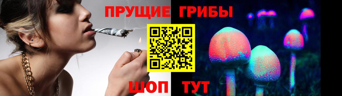 Железногорск  Галлюциногенные грибы Psilocybine cubensis  Вход с VPN 